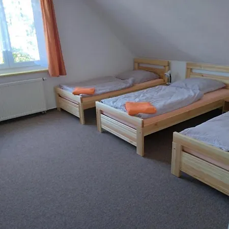 Hortenzie 3* Usilne