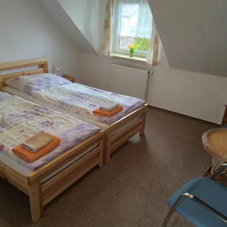 Guest house Hortenzie 3*
