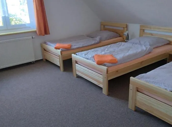 Hortenzie 3* Usilne