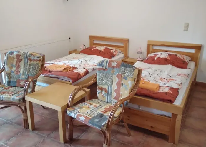 Hortenzie 3* Usilne